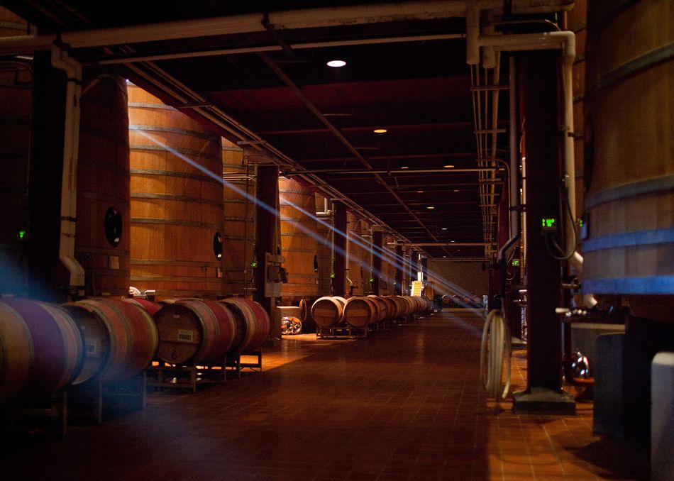Light in the wine cellar