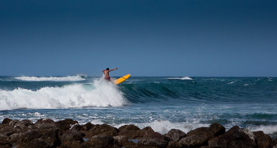 Surfer