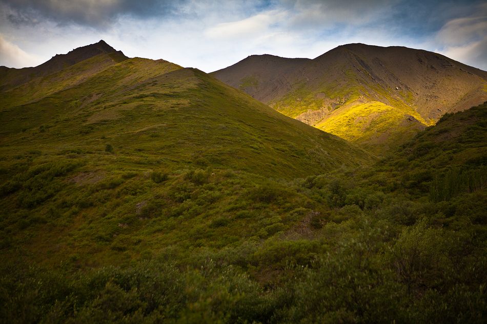 Hill light