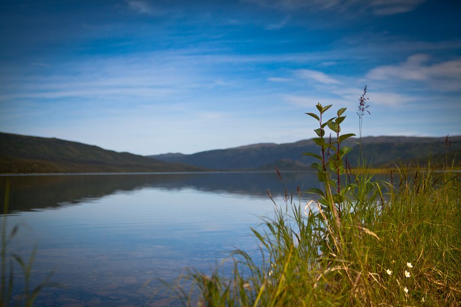 Wonder lake