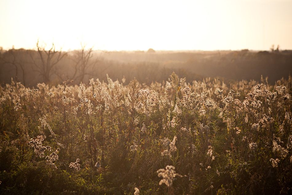 Prairie Sunset