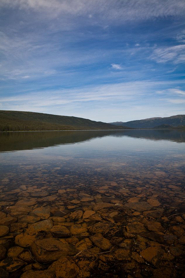 Wonder lake portrait