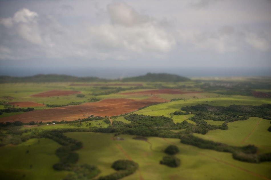 Kauai agriculture